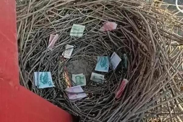 捡到钱后运气不好怎么化解 捡钱后运气变差怎么破解