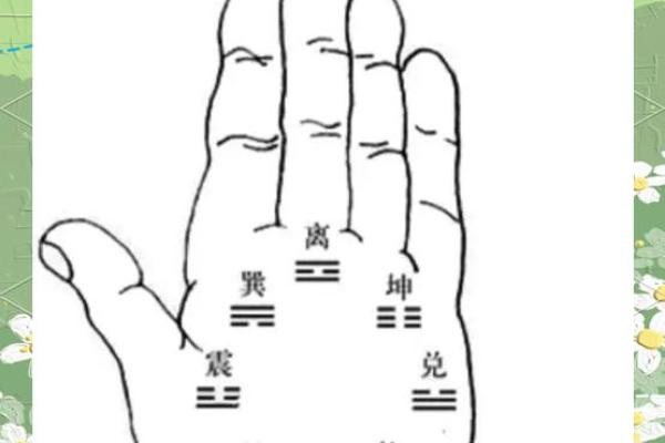 1954年出生的马年女性晚年运势解析，70岁会遇到哪些坎与挑战？
