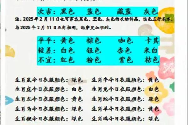 2021年11月14日五行穿衣 今日五行穿衣指南查询