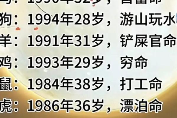 83年属猪是什么命？2024年运势有何变化