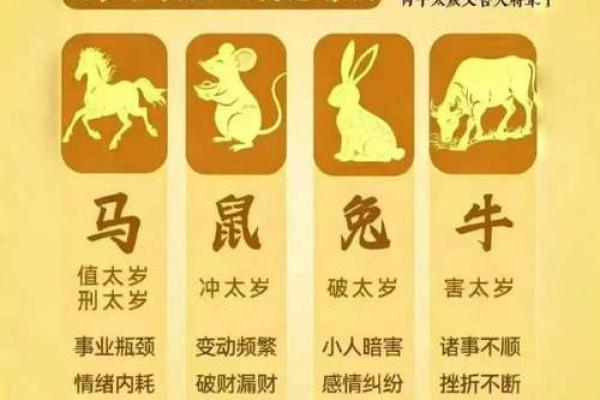 2026年属虎人的全年运势如何化解太岁并提升财运健康