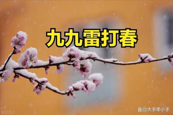下雪打雷是什么预兆 冬天下雪打雷有什么讲究