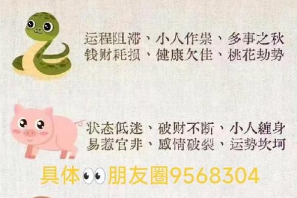 八难三灾代表什么生肖什么数字 八难三灾对应的生肖查询 八难三灾代表什么生肖什么数字 八难三灾对应的生肖查询