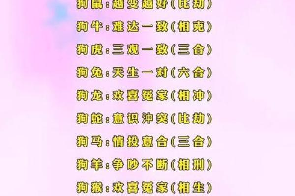 1982年属狗女性2026年婚姻运势和感情建议完整版
