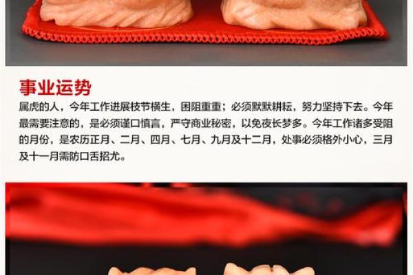 1162年属什么生肖 1162年出生今年运势