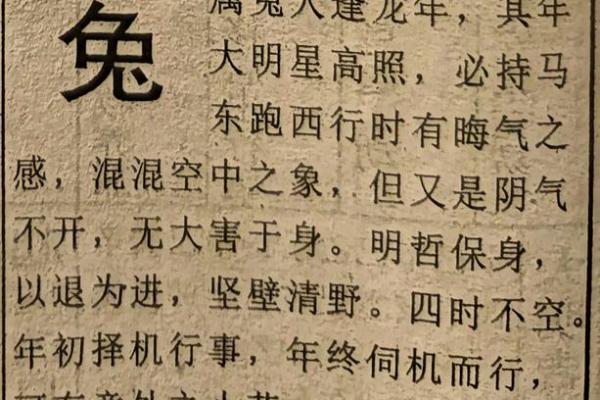 属兔今年财运如何？2024年财富运势详解
