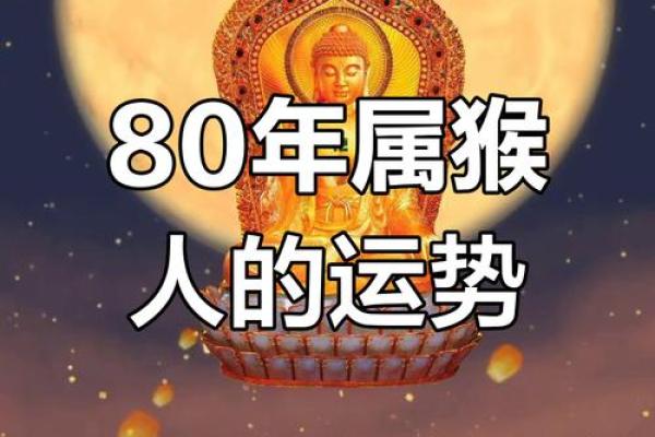 2026年属猴男全年运势详解1980年出生事业财运如何