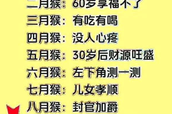 1980年出生的猴在2026年婚姻和事业运势如何破解太岁