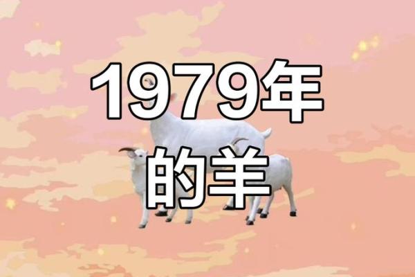 1979年属羊人2026年全年运势详解，每月运程完整版分析