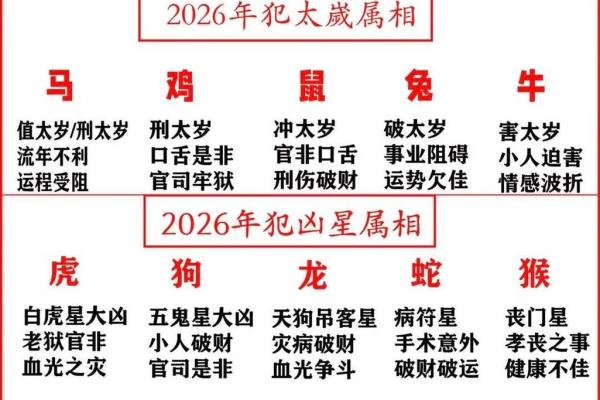 祸不单行代表什么生肖 运势解析与化解方法