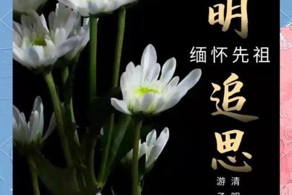 女人上坟好不好 女性扫墓的禁忌与注意事项