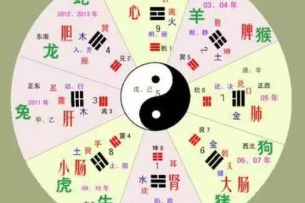 八卦是指什么生肖 八卦对应的生肖是哪个