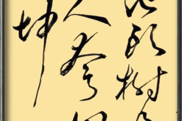不要人夸好颜色的下一句 不要人夸好颜色作者是谁