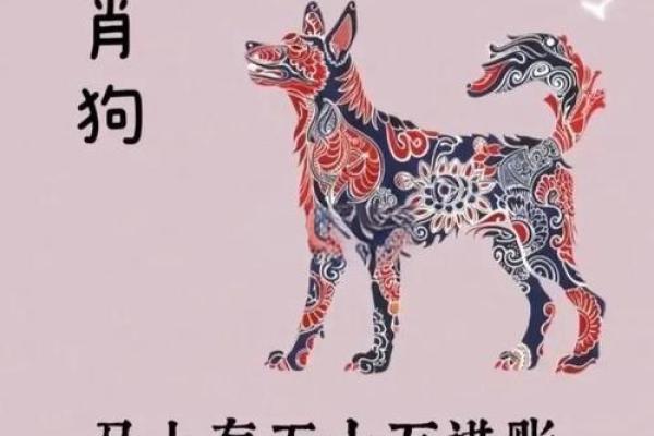 82年出生的生肖狗在2026年事业财运和健康运势如何破解