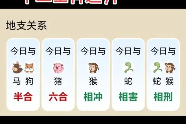二九相合在今期是什么生肖 二九相合生肖今日运势查询