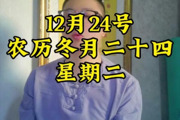 属虎的运势如何？2024年财运事业全解析