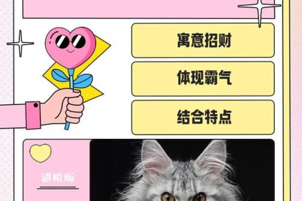 宠物名字霸气 公猫霸气的名字独特少见 宠物名字霸气 公猫霸气的名字独特少见
