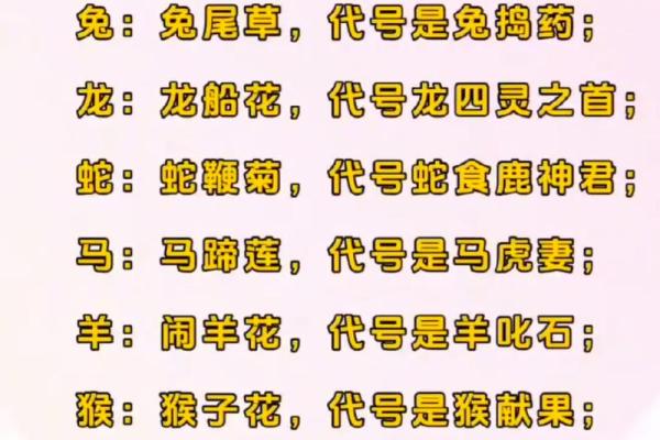 文是什么生肖 文对应的生肖查询方法