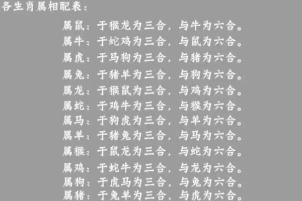 三言两语指什么动物生肖 三言两语打一生肖答案