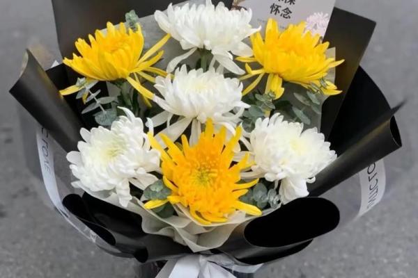 菊花送人吉利吗 看望病人送菊花合适吗 菊花送人吉利吗 看望病人送菊花合适吗
