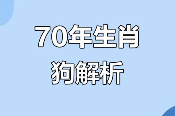1970年属狗人2026年运势详解，财运和事业运会有突破吗？