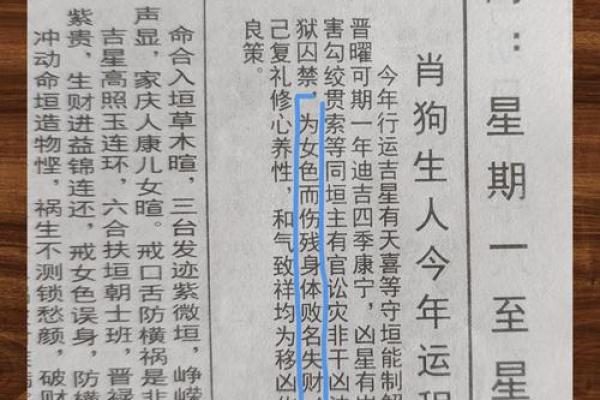 1970年属狗人2026年运势详解，财运和事业运会有突破吗？