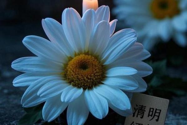 清明节上坟的最佳时间 清明上坟几点钟最好