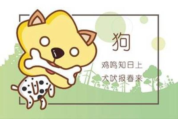 1970年出生属狗者今日感情运势详解，与伴侣相处要注意什么