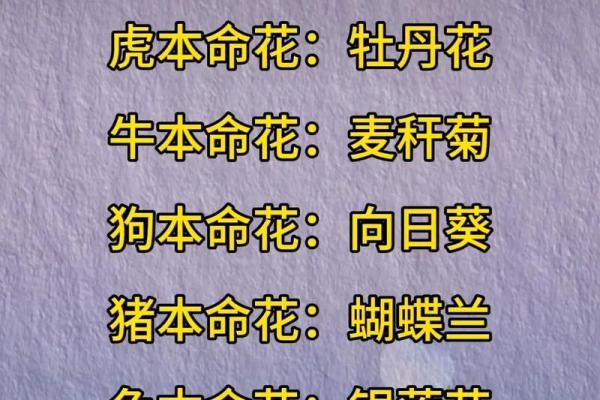 十二生肖金花什么生肖 十二生肖金花对应表