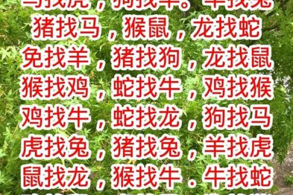 天生一对是什么生肖 生肖配对查询最佳婚配组合