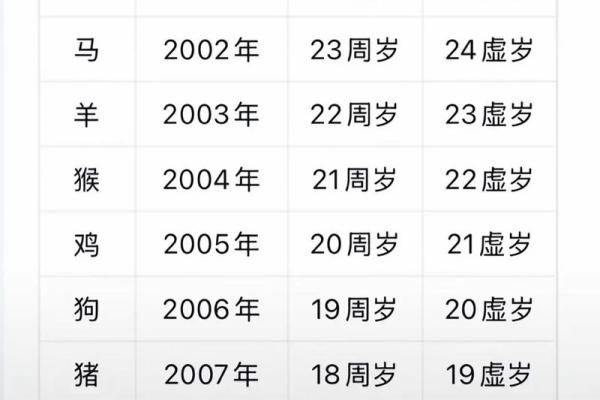 2025年是什么年生肖 2025年属什么生肖