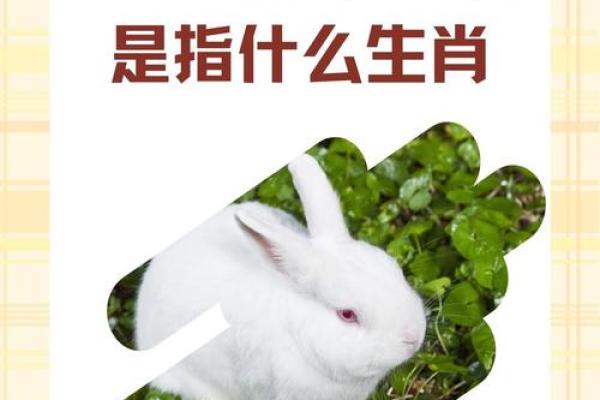 雪高三尺云上天是什么生肖 雪高三尺云上天打一生肖