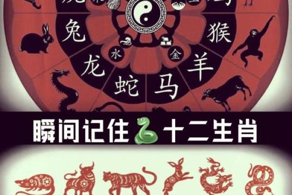 一日之计在于寅是什么生肖 寅时出生的人命运如何