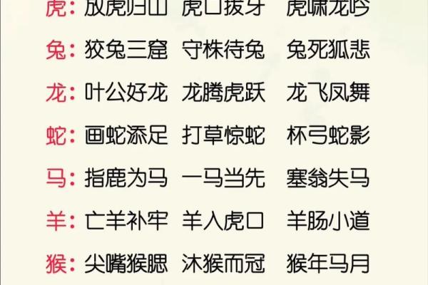 大野前排是什么生肖 大野前排生肖查询方法