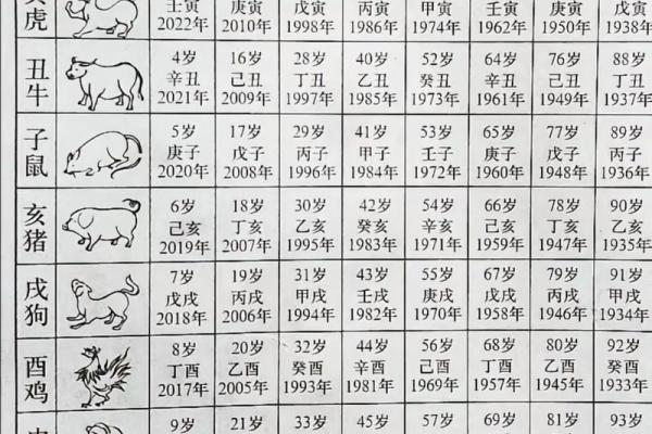留指什么生肖 留字代表哪个生肖动物