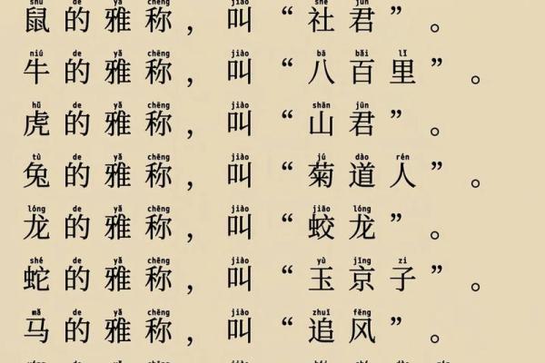 十二生肖排第六是什么生肖 十二生肖第六位是什么动物