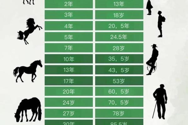 1954年属马人70岁运势解析，今年是否有重大坎坷与挑战？