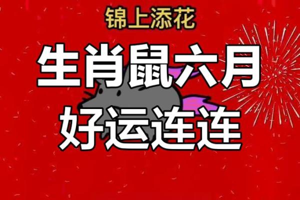 1996年属鼠人2026年运势详解:财运、事业、感情全年运程预测 1996年属鼠人2026年运势详解:财运、事业、感情全年运程预测
