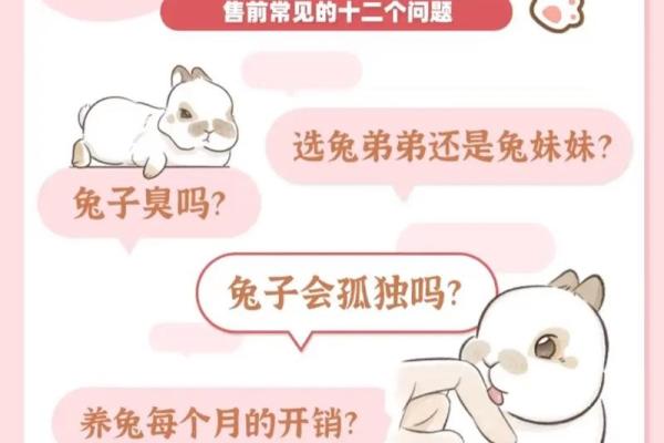 2011年出生属兔者2026年健康运势及家长需知全指南