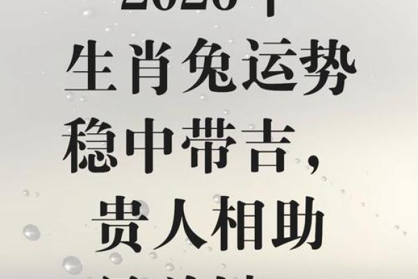 2011年出生属兔者2026年健康运势及家长需知全指南