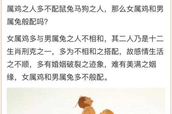 属兔和属鸡的夫妻结局如何?有什么方法可以化解生肖不合 属兔和属鸡的夫妻结局如何?有什么方法可以化解生肖不合