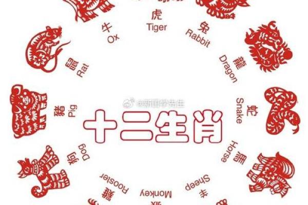 慎什么生肖 2024年结婚需避开的生肖