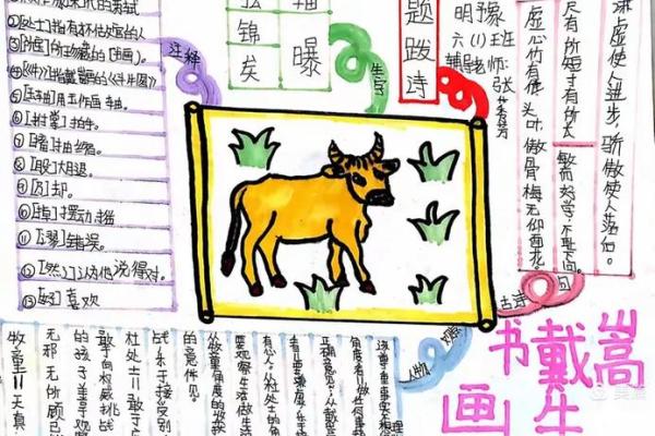高山流水代表什么生肖 传统文化解析