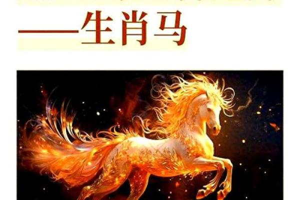 2014运程 十二生肖运程 2014年属马本命年运势 2014运程 十二生肖运程 2014年属马本命年运势