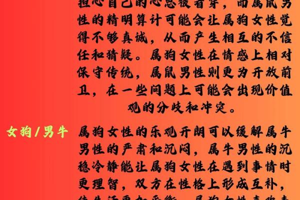 2026年属狗人全年运势详解，事业财运健康感情全面解析