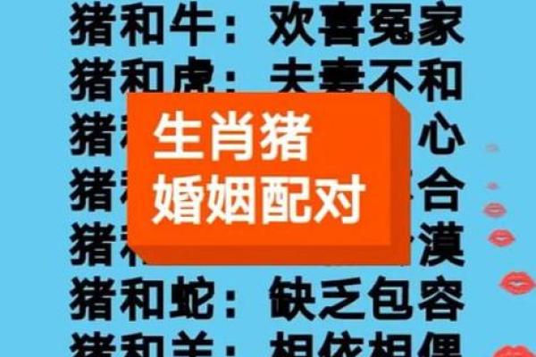 花前月下相依偎是什么生肖 花前月下相依偎打一生肖