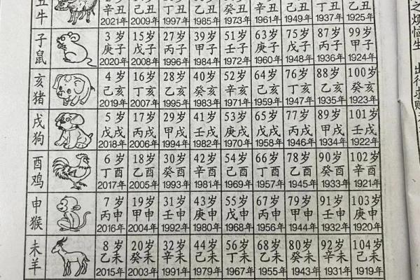 2023属于什么生肖年 2023年生肖查询