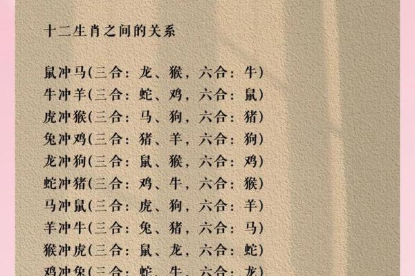 水肖是什么生肖正确答案 水肖是哪几个生肖