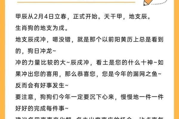 2026年蛇年属狗人的全年运势详解及每月运程分析