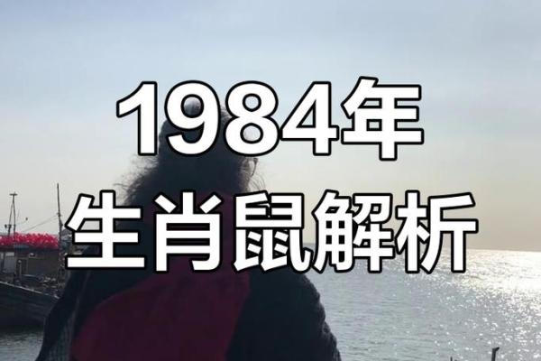 1972年属鼠在2026年运势如何？健康财运事业感情全面解析